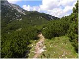 Planina Ravne - Kocbekov dom na Korošici